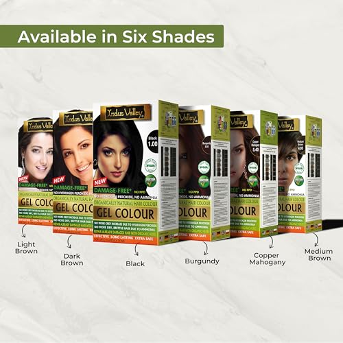 Indus Valley Natural Organic Damage Free Gel Hair Color | Ammonia Free, Vegan & Cruelty Free | Up to 100% Gray Coverage|Black 1.0 (20gram+200ml)