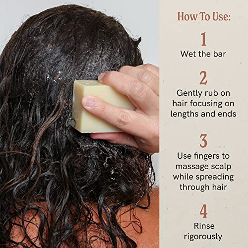 J·R·LIGGETT'S Shampoo Bars - Tea Tree, Jojoba & Peppermint and Coconut & Argan Oils - Nourishes Follicles with Antioxidants and Vitamins - Sulfate-Free - Set of Three 3.5 Ounce Bars