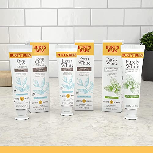 Burt's Bees Toothpaste, Natural Flavor, Fluoride-Free, Purely White, Zen Peppermint, 4.7 oz, Pack of 3