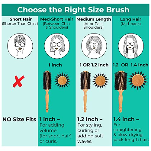 High-Density Soft Boar Bristles Wood Round Brush for Blow-Drying, Straightening, Styling, Volumizing Medium to Long Hair (Shoulder to Back-Length) for Shine & Volume, 1.2" Roller, 2.4" with Bristles