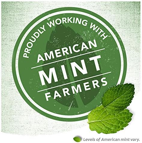 Colgate Max Fresh Whitening Toothpaste with Mini Breath Strips, Clean Mint - 6 ounce (2 Pack)