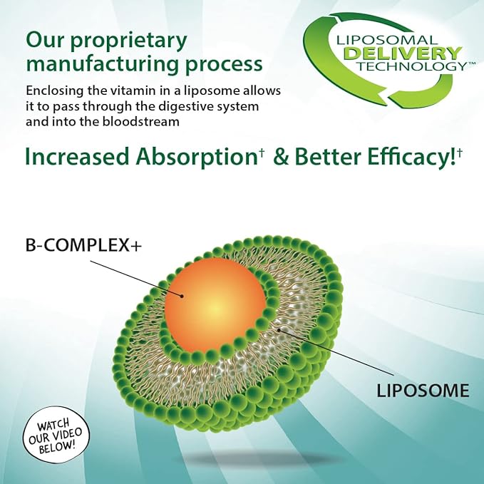 Aurora Nutrascience Mega-Liposomal B-Complex + Vitamin C, Supports Energy, Immune & Nervous System Health, Gluten Free, Non-GMO, Sugar-Free, Organic Fruit Flavor, 32 Servings, 16 Fl oz