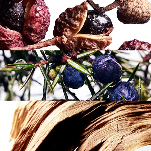 Davidoff Cool Water Wave Eau de Toilette – Fresh Woody Men's Cologne – With Notes of Sichuan Pepper, Juniper & Sandalwood – Long Lasting Fragrance