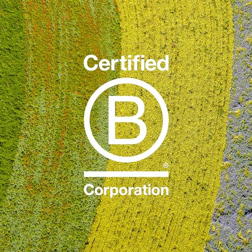 Davines Heart of Glass Sheer Glaze for Blonde Care, Leave On Thermal Styling Support, Add Shine And Heat Protect, 5.07 fl. oz.