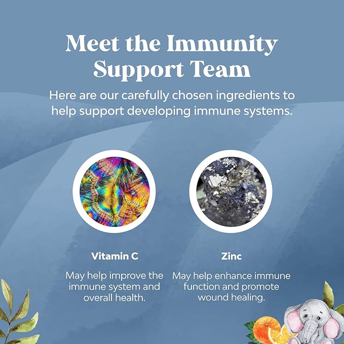 Kids Immunity Support Gummies - Delicious Vitamin C with Zinc and Echinacea Immune Booster Gummies for Kids - Vegan Gluten Free and Gelatin Free Chewable Gummy Vitamin Supplement for Children