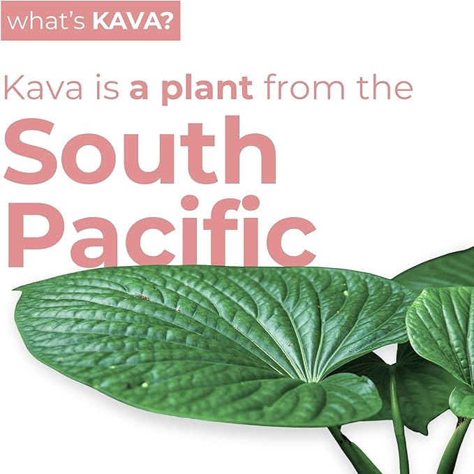 LEILO | Kava Powered Sparkling Relaxation Drink | Raspberry Hibiscus 12-Pack - Non-ALC Calming Beverage | 12 fl oz Cans (Pack of 12)