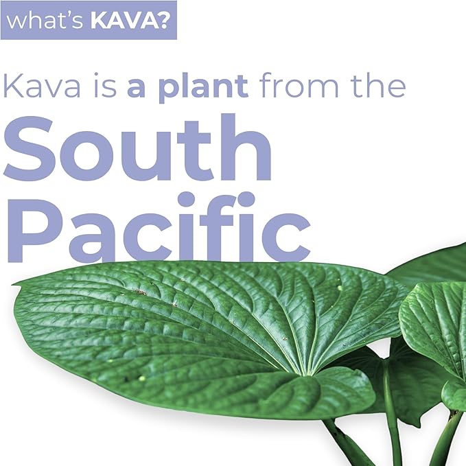 LEILO | Kava Powered Sparkling Relaxation Drink | BlackBerry Orange 12-Pack – Non-ALC Calming Beverage | 12 fl oz Cans (Pack of 12)