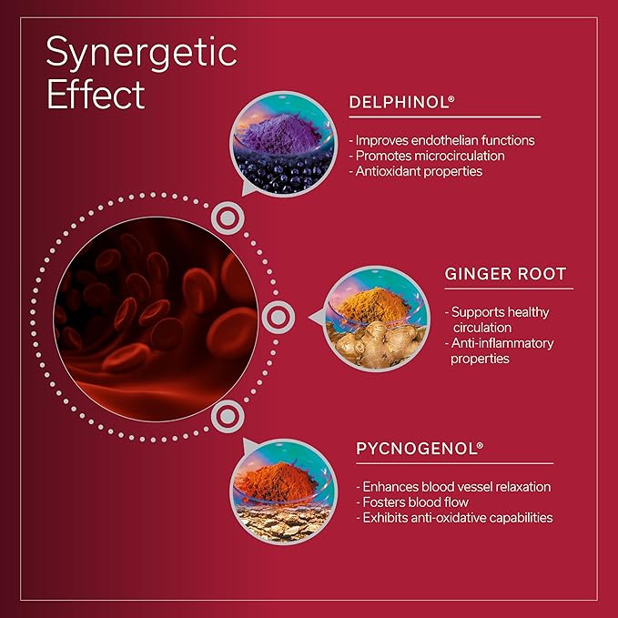 Daily Circulation | Antioxidant Powerhouse Supplement | Supports Inflammatory Response, Healthy Blood Flow & Metabolic Function | Maqui Berry, Ginger, Pycnogenol | 10 Vegan Capsules