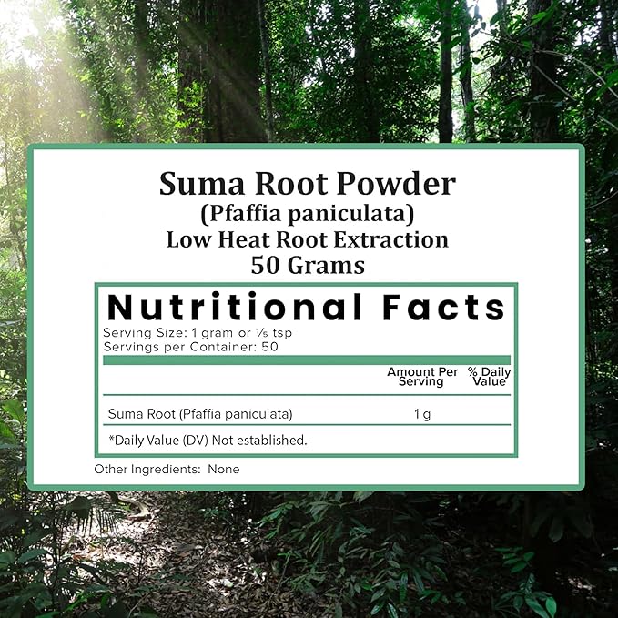 Holistic Bin Wild Harvested Root Ginseng Powder – Brazilian Suma Root Ginseng for Tea & Smoothies – Adaptogen Extract – Non GMO – 50 Grams