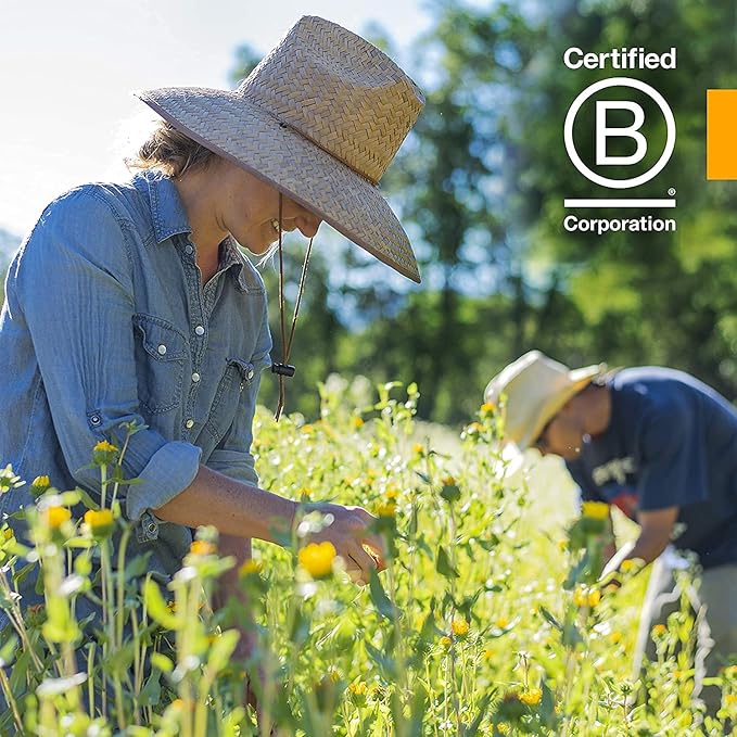 Herb Pharm Albizia Liquid Extract for Nervous System Support, 1 Fl Oz