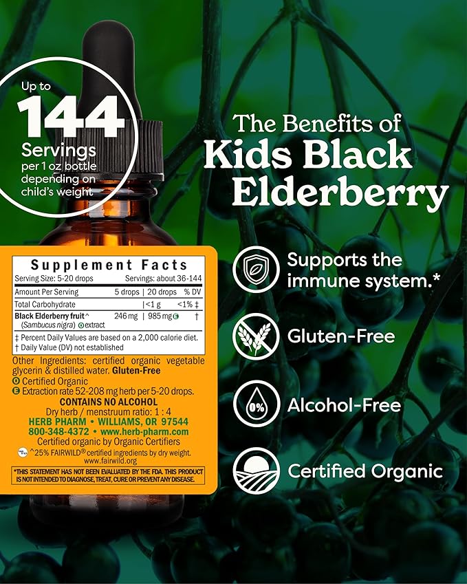 Herb Pharm Kids Certified-Organic Alcohol-Free Black Elderberry Glycerite Liquid Extract, 1 Ounce (GLKELD01)