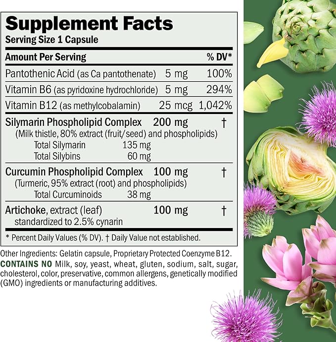 ANDREW LESSMAN Liver Anti-Oxidant Extracts 120 Capsules - Supports The Hard-Working Tissues of The Liver, Promotes Optimum Liver Health and Function. Milk Thistle, Turmeric and Artichoke Extracts